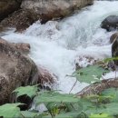 JIRI VALLEY 네이버블로그