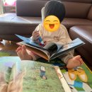 세이펜서비스센터 | 세이펜 AS 신청 후기 | 신청 방법 & CJ택배 접수 과정 총정리