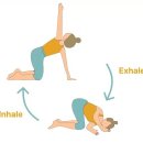 무브컨트롤 트레이닝센터 이미지