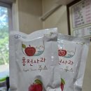 참소오리 | [비발디파크 주변 맛집] 홍천 찐맛집 '참소나무농원' 후기