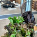 돈가마니 이미지