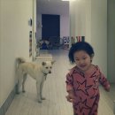 새봄약품 이미지