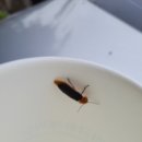 제주리월드 이미지