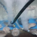 원광수산 이미지