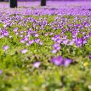 연서정형외과의원 이미지