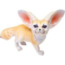 사막여우 - Fennec Fox 이미지