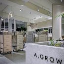 신논현역미용실 A.GROW 에이그로우 신논현본점