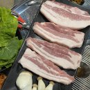 제주탐몽 이미지