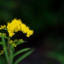 길소아청소년과의원 이미지