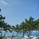 산방로8 이미지