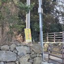 오름 | [제주 오름] 제주 광이오름 후기