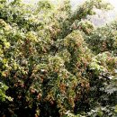 김진규농장 이미지