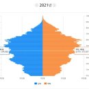 2021 대한민국 세대별 인구분포도+ 미혼성비 이미지