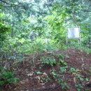 대신자원 이미지