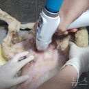 충현농장 이미지