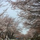 하광교동느티나무정류장 이미지