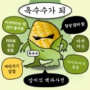 2025. 01.zip - 행복한 피크민의 하루 (피크민 블룸이 목적인 나들이 / 공항, 테마파크, 타코, 스타디움...