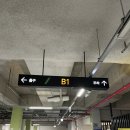 로마네335