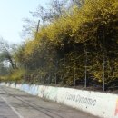 의료원사거리 이미지