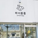 하이몽몽 이미지