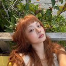 (주)레드오렌지 이미지