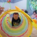 올래어린이집 이미지