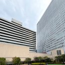 픽미픽미아이스 남장점 | 오사카 마사히코 오즈미 파리 몽블랑: 야노시호 케이크 먹는 곳과 웨이팅 팁, 모리한 말차