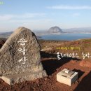 살랑제주 이미지