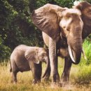 008-교하-008 이미지