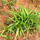 길상초등학교 이미지