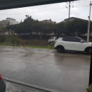 나지올(nasiol) 이미지