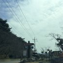 뉴세심천