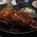 덕후선생