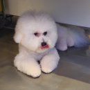 제이앤제이 그루밍 이미지