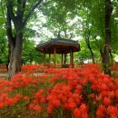 서대구완충녹지(7BL) 이미지