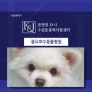 광교호수 동물병원 이미지