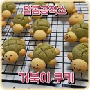 강아지공작소 | [달콤공작소] 귀여운 🐢거북이 쿠키 - 원데이클래스 후기