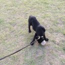 송도 달빛공원 이미지