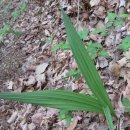 둥굴레펜션 이미지