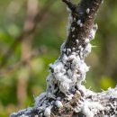 농민농약종묘 이미지