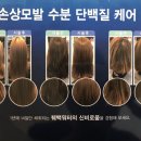 양지미용실 이미지