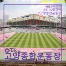 금강종합기획 | 2026년 01월 31일 일요일 BTS(방탄소년단) 5집 시리즈 기획 ⑶고양종합운동장 주경기장