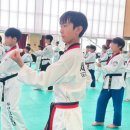 도담 서창 태권도 이미지