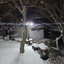 쉴만한 물가12 이미지