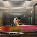 누리적산 | 25_08 푸르른 초록빛 여름🍃