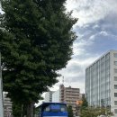 [일본 삿포로 근교 일일 버스투어] 6월 홋카이도 여름 비에이•후라노 NOL 일정 코스 56000원🚌