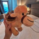 이젠하우스 | [신혼여행] DAY 1 :: 두바이 올드시티 스타벅스 포토스팟, 기념품 쇼핑리스트, 아라비안티하우스 후기