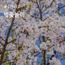 까치산근린공원 | 170412 서울 숨은 벚꽃 명소 :: 관악구 까치산 근린공원에서 꽃놀이 즐기기