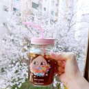 아이스클래쓰