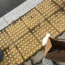 루루시 | 24년 10월 마지막주 일기